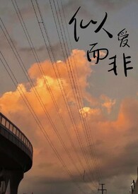 似爱而非洛予辰视角
