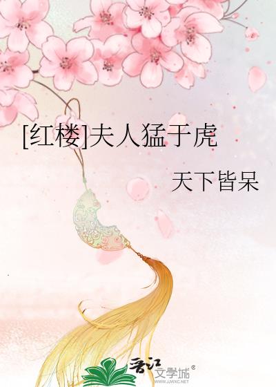 红楼梦夫人解析